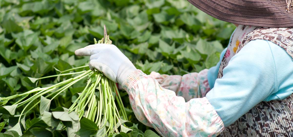 メインイメージ