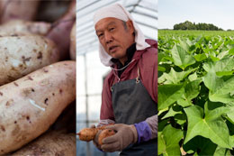 「ほしいもの達人」